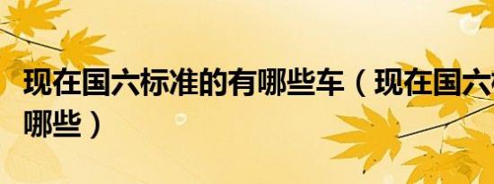 现在国六标准的有哪些车（现在国六标准车有哪些）