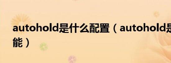autohold是什么配置（autohold是什么功能）