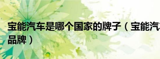 宝能汽车是哪个国家的牌子（宝能汽车是什么品牌）
