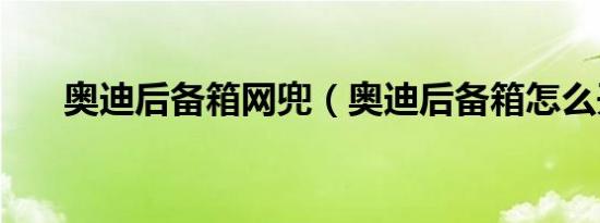 奥迪后备箱网兜（奥迪后备箱怎么开）