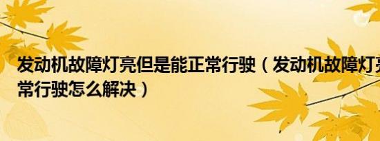 发动机故障灯亮但是能正常行驶（发动机故障灯亮了但能正常行驶怎么解决）