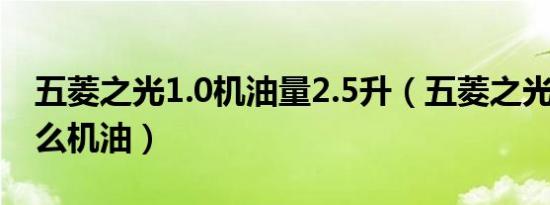 五菱之光1.0机油量2.5升（五菱之光1.0用什么机油）