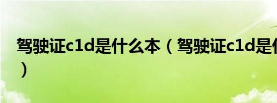驾驶证c1d是什么本（驾驶证c1d是什么意思）