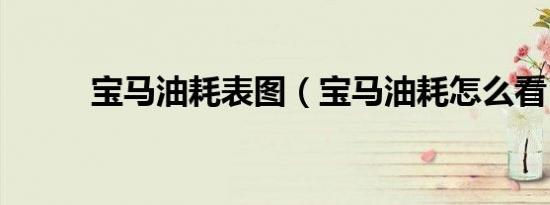 宝马油耗表图（宝马油耗怎么看）