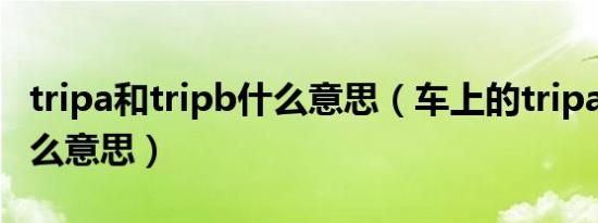 tripa和tripb什么意思（车上的tripa和b是什么意思）