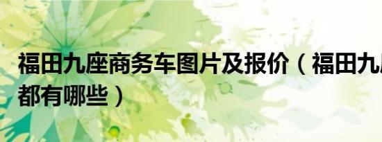 福田九座商务车图片及报价（福田九座商务车都有哪些）