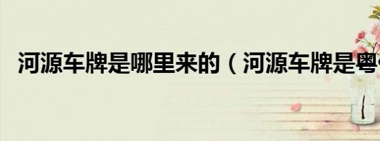 河源车牌是哪里来的（河源车牌是粤什么）