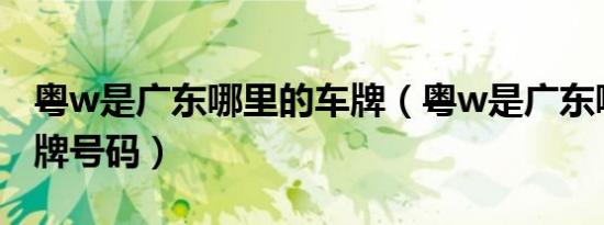 粤w是广东哪里的车牌（粤w是广东哪里的车牌号码）