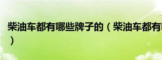 柴油车都有哪些牌子的（柴油车都有哪些车型）