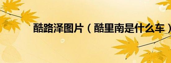 酷路泽图片（酷里南是什么车）