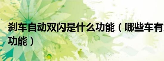 刹车自动双闪是什么功能（哪些车有急刹双闪功能）