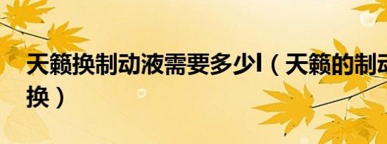 天籁换制动液需要多少l（天籁的制动液多久换）