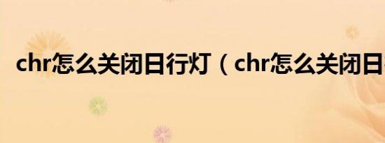 chr怎么关闭日行灯（chr怎么关闭日行灯）