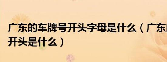 广东的车牌号开头字母是什么（广东的车牌号开头是什么）