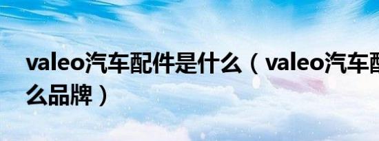 valeo汽车配件是什么（valeo汽车配件是什么品牌）