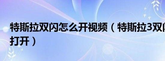 特斯拉双闪怎么开视频（特斯拉3双闪灯怎么打开）