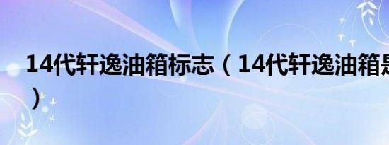 14代轩逸油箱标志（14代轩逸油箱是多少升）