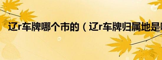 辽r车牌哪个市的（辽r车牌归属地是哪里）