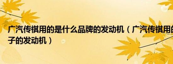 广汽传祺用的是什么品牌的发动机（广汽传祺用的是什么牌子的发动机）