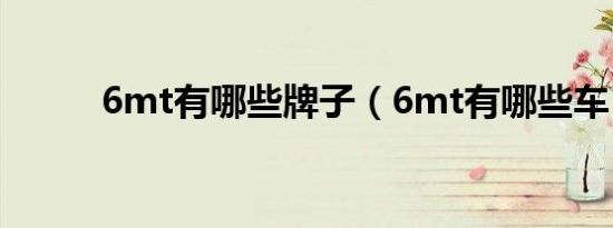 6mt有哪些牌子（6mt有哪些车）