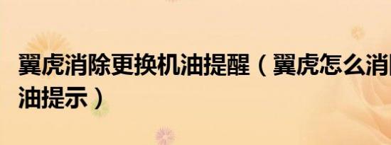 翼虎消除更换机油提醒（翼虎怎么消除引擎机油提示）