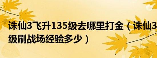 诛仙3飞升135级去哪里打金（诛仙3飞升147级刷战场经验多少）