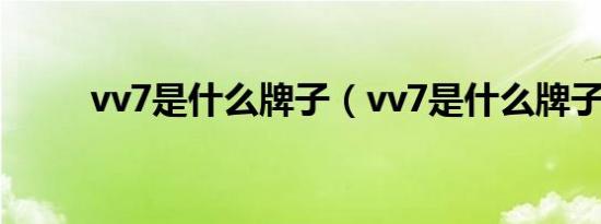 vv7是什么牌子（vv7是什么牌子）