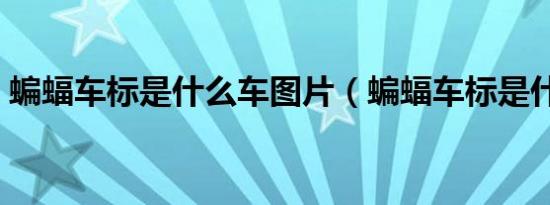 蝙蝠车标是什么车图片（蝙蝠车标是什么车）