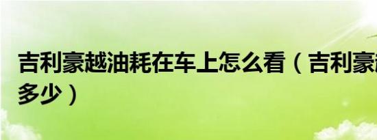吉利豪越油耗在车上怎么看（吉利豪越油耗是多少）