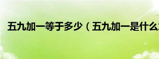 五九加一等于多少（五九加一是什么意思）