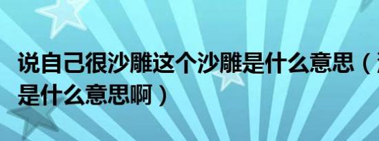 说自己很沙雕这个沙雕是什么意思（沙雕气质是什么意思啊）