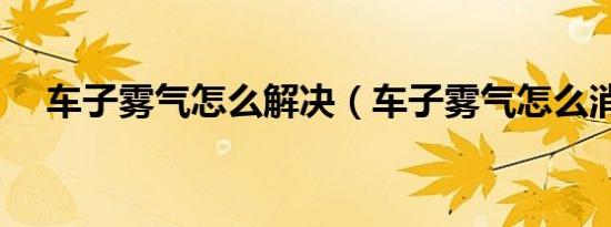 车子雾气怎么解决（车子雾气怎么消失）
