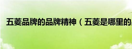 五菱品牌的品牌精神（五菱是哪里的品牌）