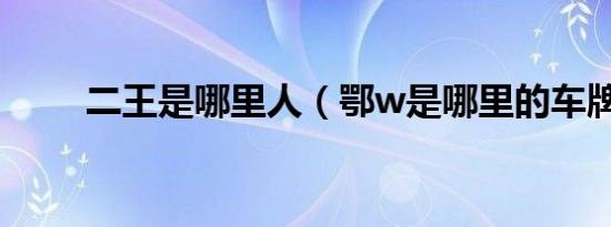 二王是哪里人（鄂w是哪里的车牌）