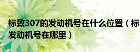 标致307的发动机号在什么位置（标致307的发动机号在哪里）