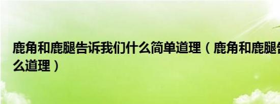 鹿角和鹿腿告诉我们什么简单道理（鹿角和鹿腿告诉我们什么道理）