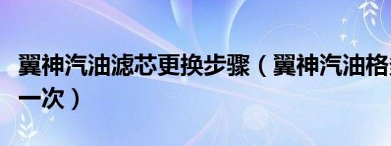 翼神汽油滤芯更换步骤（翼神汽油格多久更换一次）