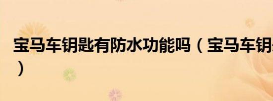 宝马车钥匙有防水功能吗（宝马车钥匙防水吗）