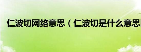 仁波切网络意思（仁波切是什么意思网络）