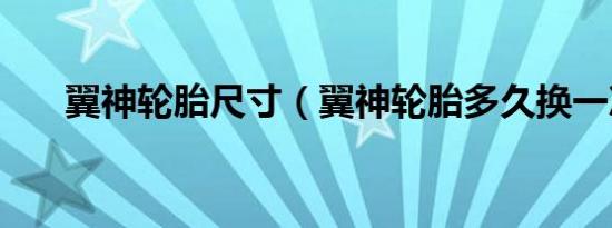 翼神轮胎尺寸（翼神轮胎多久换一次）