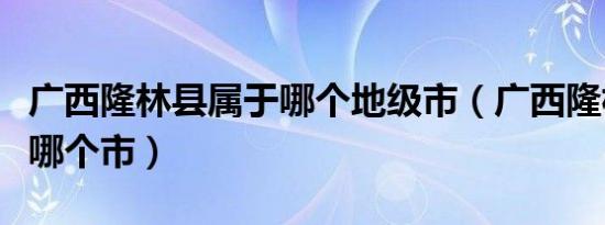 广西隆林县属于哪个地级市（广西隆林县属于哪个市）