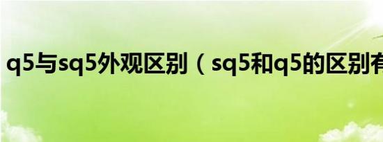 q5与sq5外观区别（sq5和q5的区别有什么）