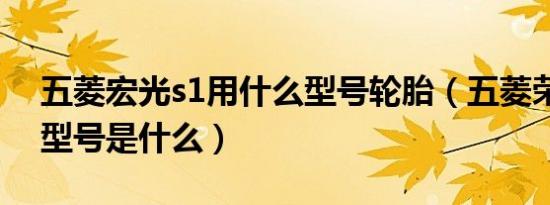 五菱宏光s1用什么型号轮胎（五菱荣光轮胎型号是什么）
