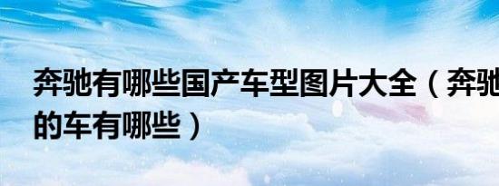 奔驰有哪些国产车型图片大全（奔驰r同级别的车有哪些）