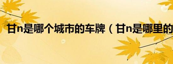 甘n是哪个城市的车牌（甘n是哪里的车牌）