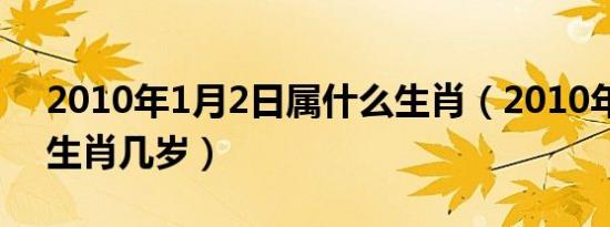 2010年1月2日属什么生肖（2010年属什么生肖几岁）