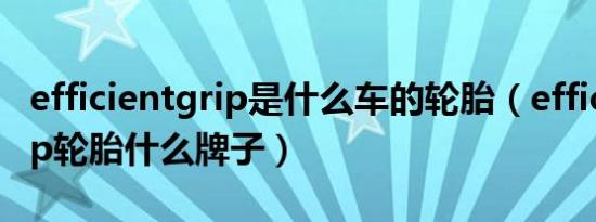 efficientgrip是什么车的轮胎（efficient grip轮胎什么牌子）