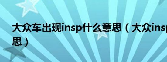 大众车出现insp什么意思（大众insp是啥意思）