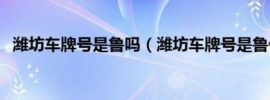 潍坊车牌号是鲁吗（潍坊车牌号是鲁什么）