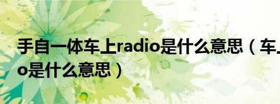 手自一体车上radio是什么意思（车上的radio是什么意思）